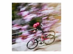 CANNONDALE SuperSix Evo Hi-Mod Ultegra Team Replica Education First 2023 22 CANNONDALE SuperSix Evo Hi-Mod Ultegra Team Replica Education First 2023 -Route Soldes Magasin cannondale supersix evo hi mod ultegra team replica education first 2023 9